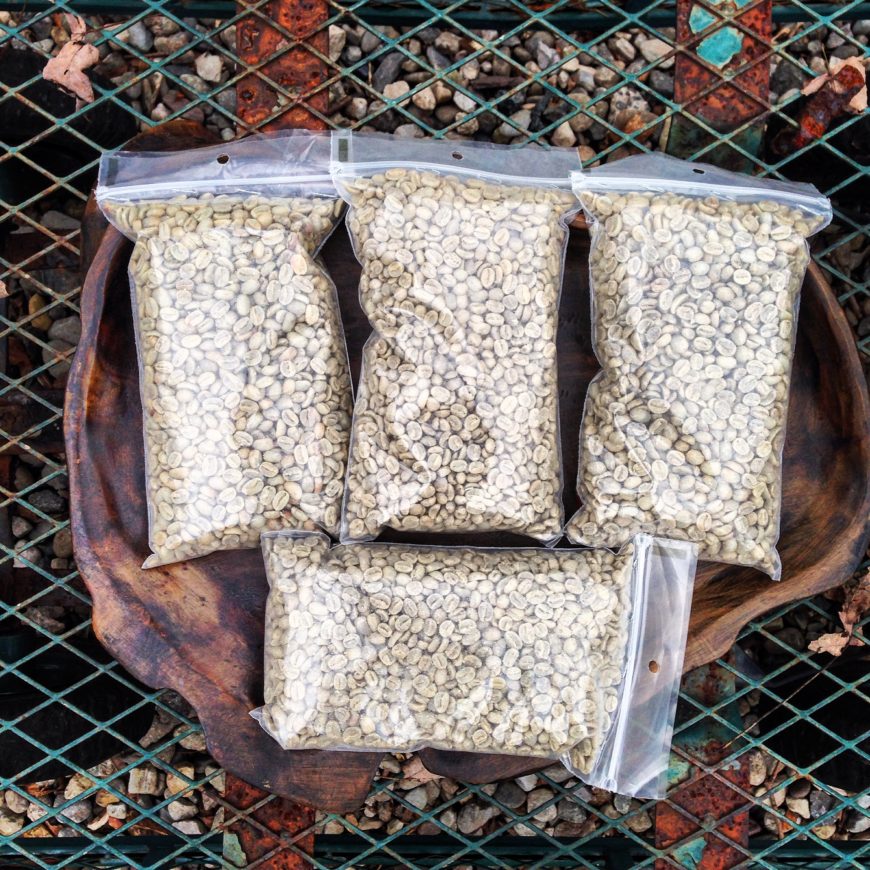 Green coffee samples