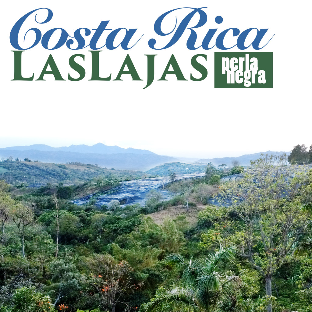 Costa Rica Las Lajas - Perla Negra - Black Pearl coffee