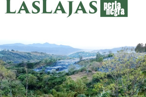 Costa Rica Las Lajas - Perla Negra - Black Pearl coffee