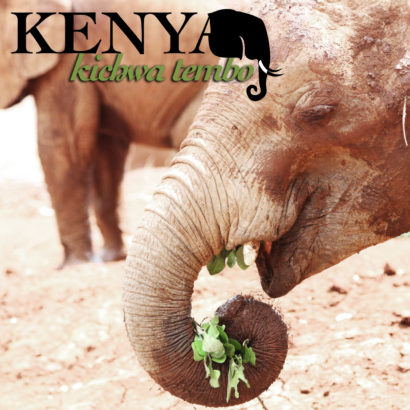 Kenya AA Kichwa Tembo, elephant head